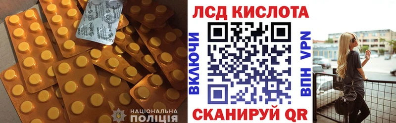 Купить закладки  Звенигово  Лсд 25 экстази кислота 