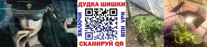 Бошки марихуана конопля  Купить где  Звенигово 